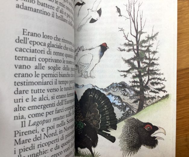 Mario Rigoni Stern, Il libro degli animali, Einaudi Scaffale Basso
