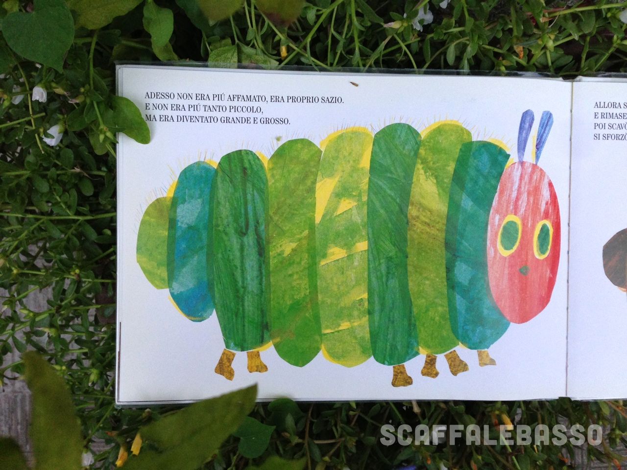 Eric Carle, Il piccolo bruco Maisazio, Mondadori - Scaffale Basso