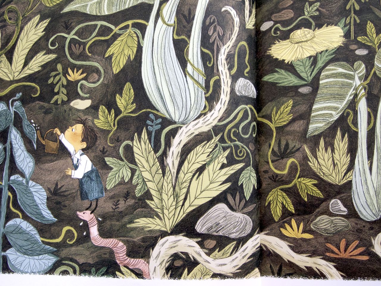 Emily Hughes, The little gardener, Flying Eye Books