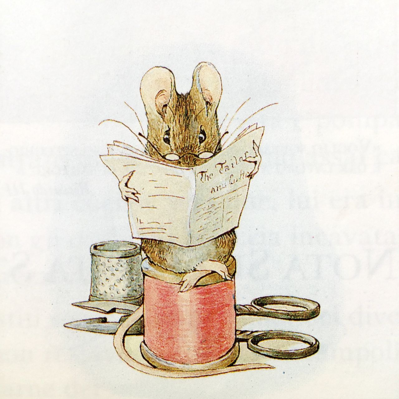 Beatrix Potter, Il mondo di Beatrix Potter, Sperling&Kupfer