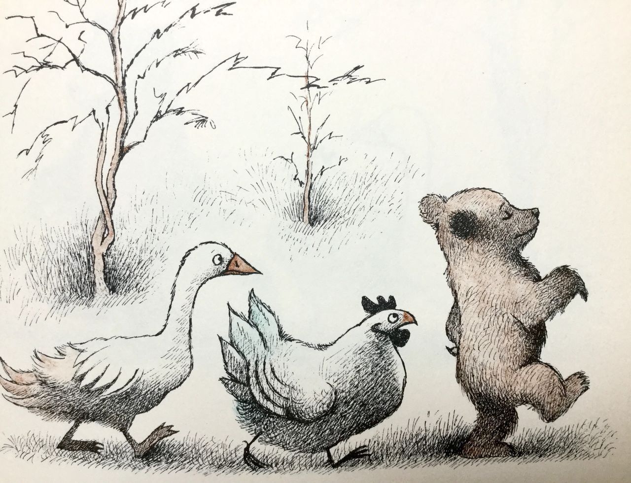 E. Holmelund Minarik - M. Sendak, Papà orso torna a casa, Adelphi