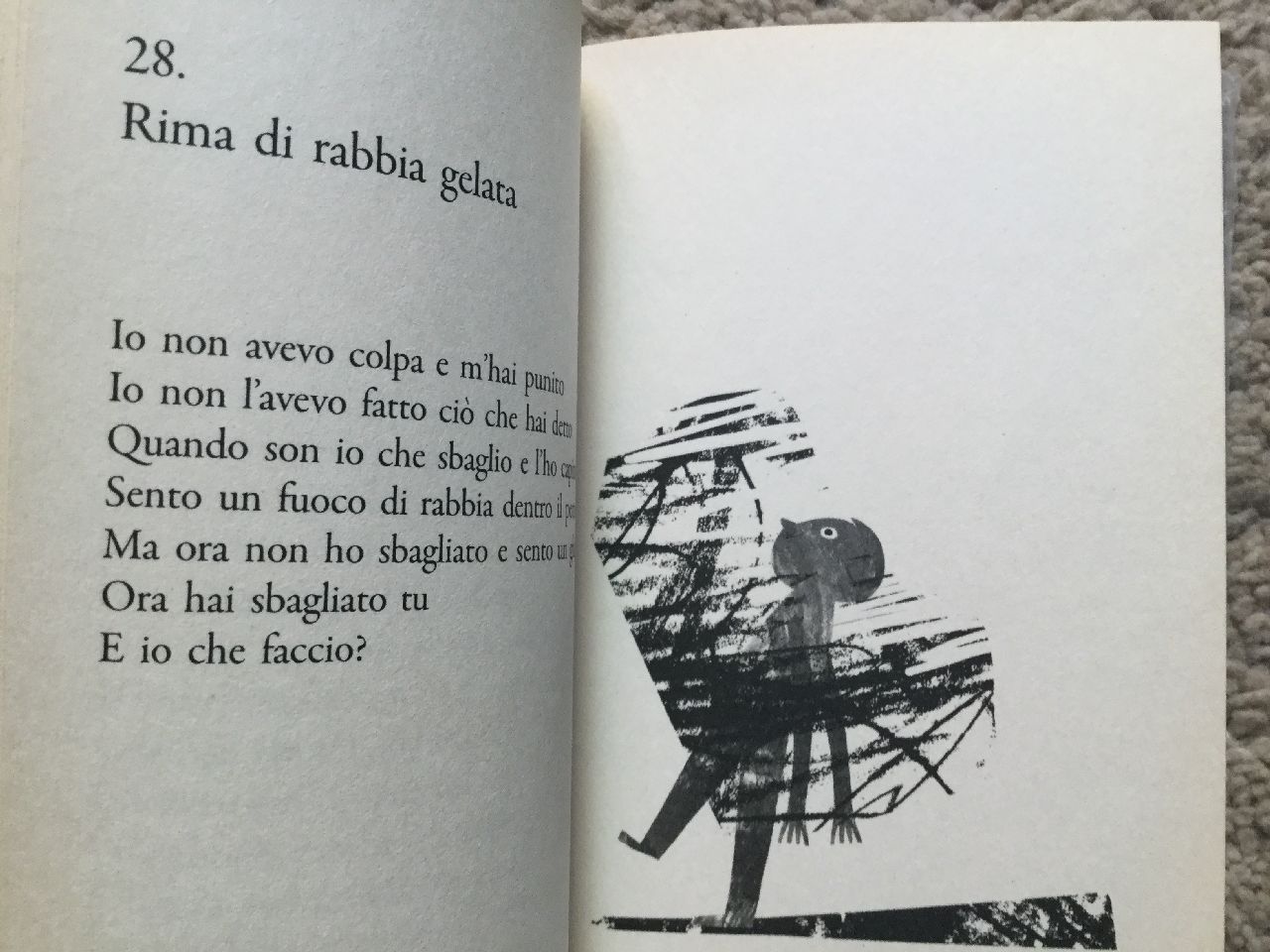 Bruno Tognolini - Giulia Orecchia, Rime di rabbia, Salani