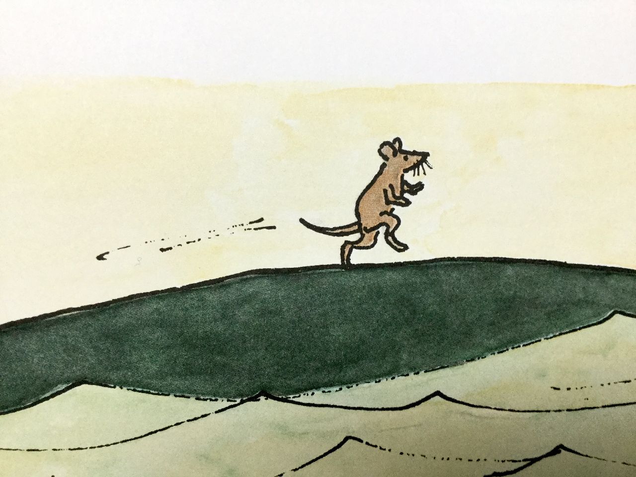 William Steig, Amos e Boris, Rizzoli