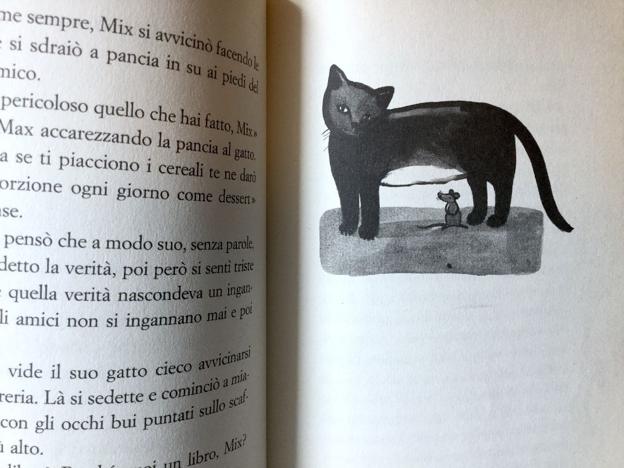 Luis Sepúlveda, Storia di un gatto e del topo che diventò suo amico, Guanda