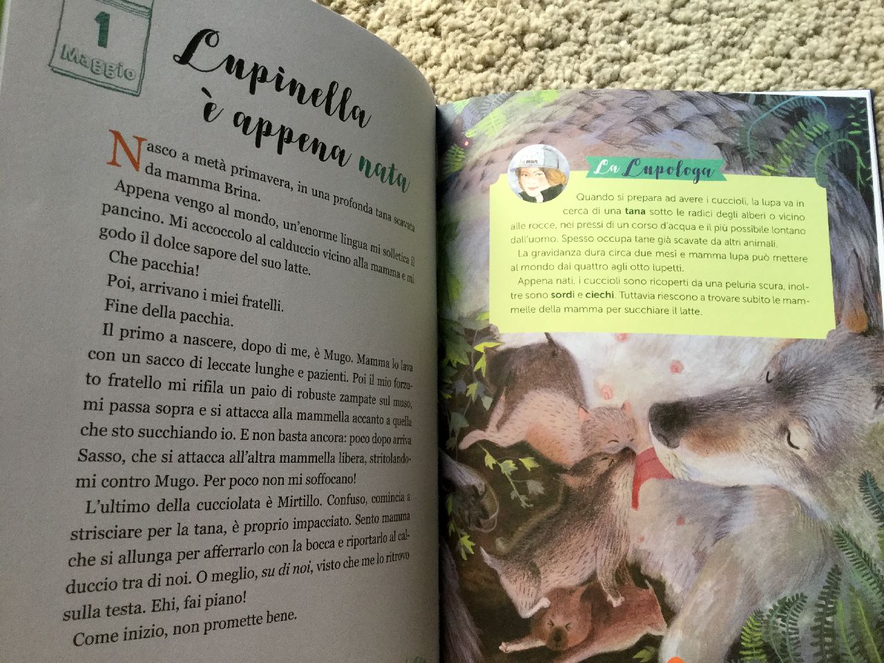 Giuseppe Festa - Mariachiara Di Giorgio, Lupinella. La vita di una lupa nei boschi delle Alpi, Editoriale Scienza 