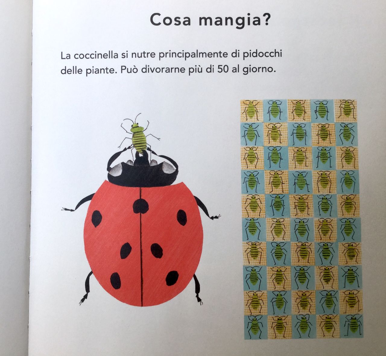 Bernadette Gervais, La coccinella, L'ippocampo