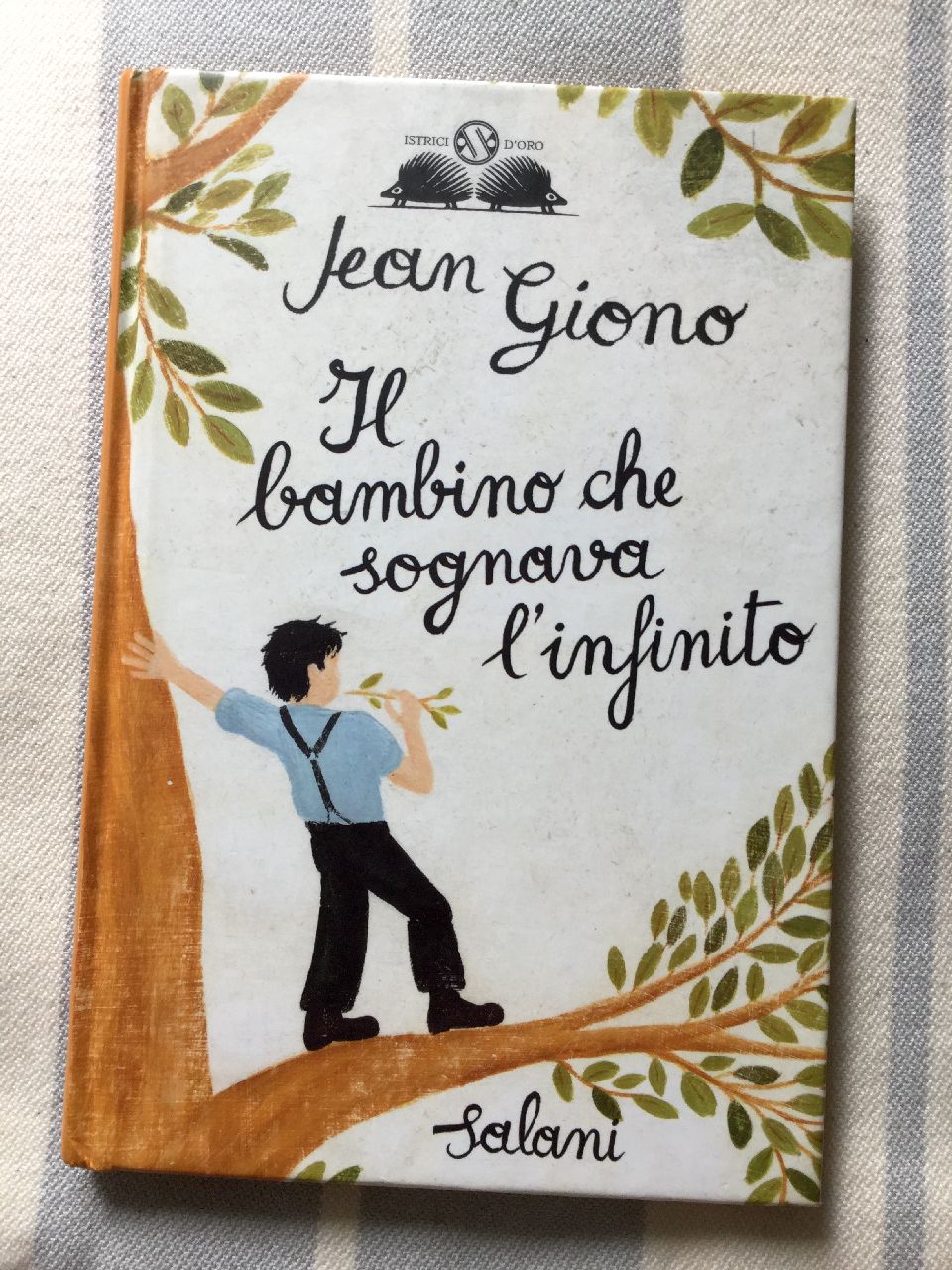 Jean Giono, Il bambino che sognava l'infinito, Adriano Salani Editore