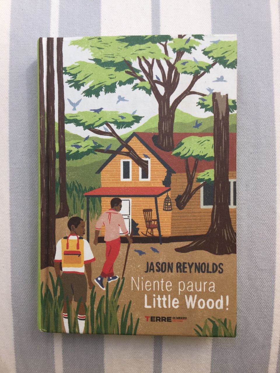 Jason Reynolds, Niente paura Little Wood! Terredimezzo