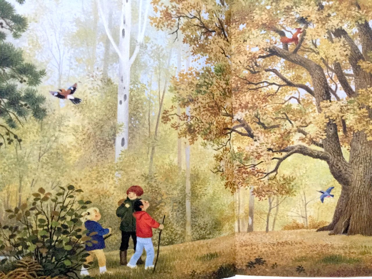 Gerda Muller, La grande quercia, Natura e cultura