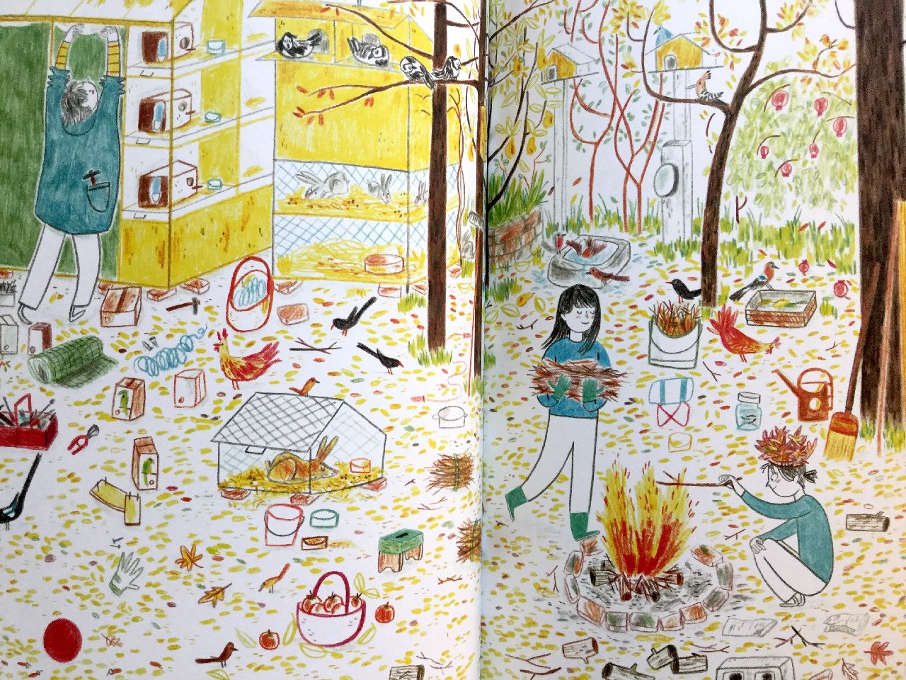 Irene Penazzi, Nel mio giardino il mondo, Terredimezzo