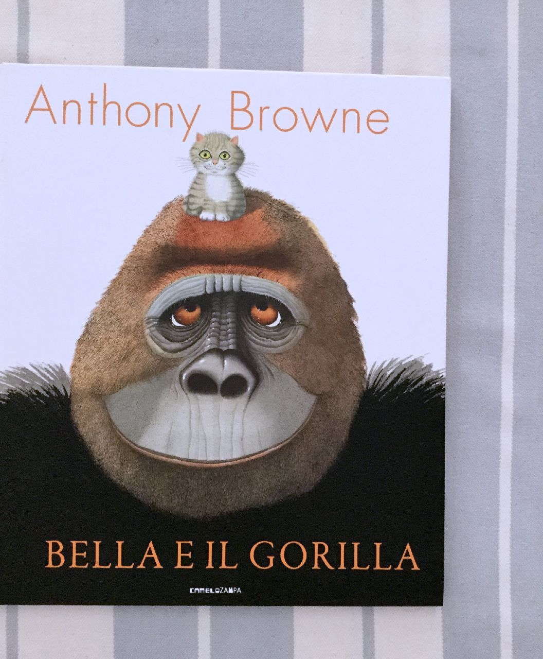 Anthony Browne, Bella e il gorilla, Camelozampa