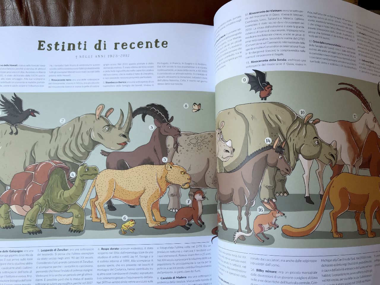 Nikola Kucharska, Atlante degli animali estinti e da salvare, Mondadori