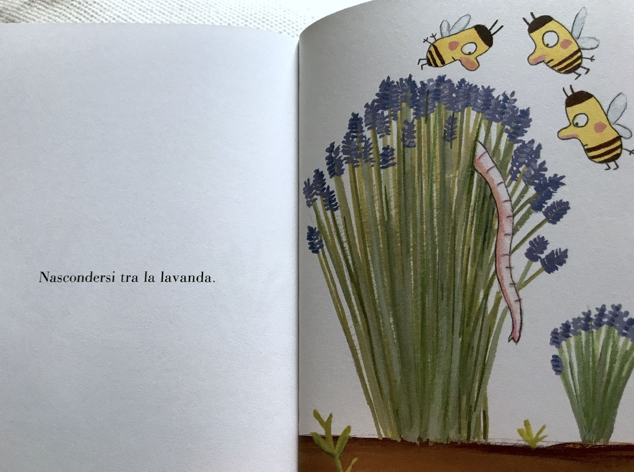 Ramona Badescu - Benjamin Chaud, Pomelo. Elefantino da giardino, Terredimezzo
