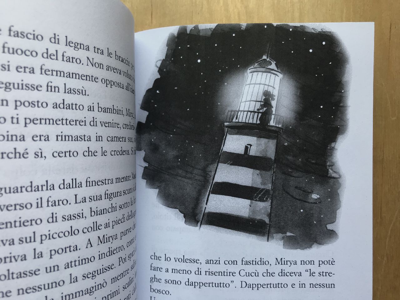 Giulia Cocchella, Il viaggio di Mirya, Notes