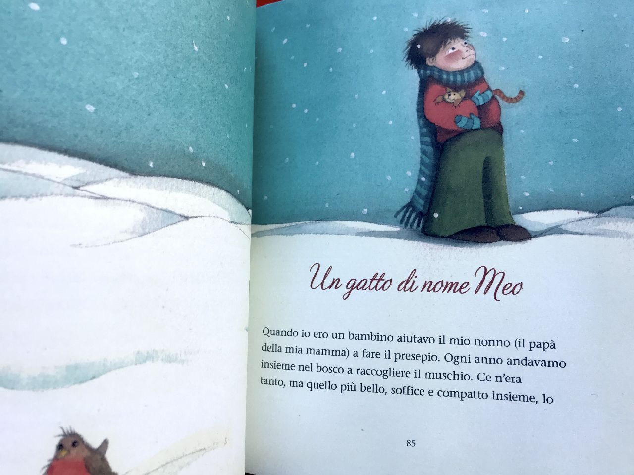 Maria Vago - Silvia Oriana Colombo, Storie intorno al presepe, San Paolo