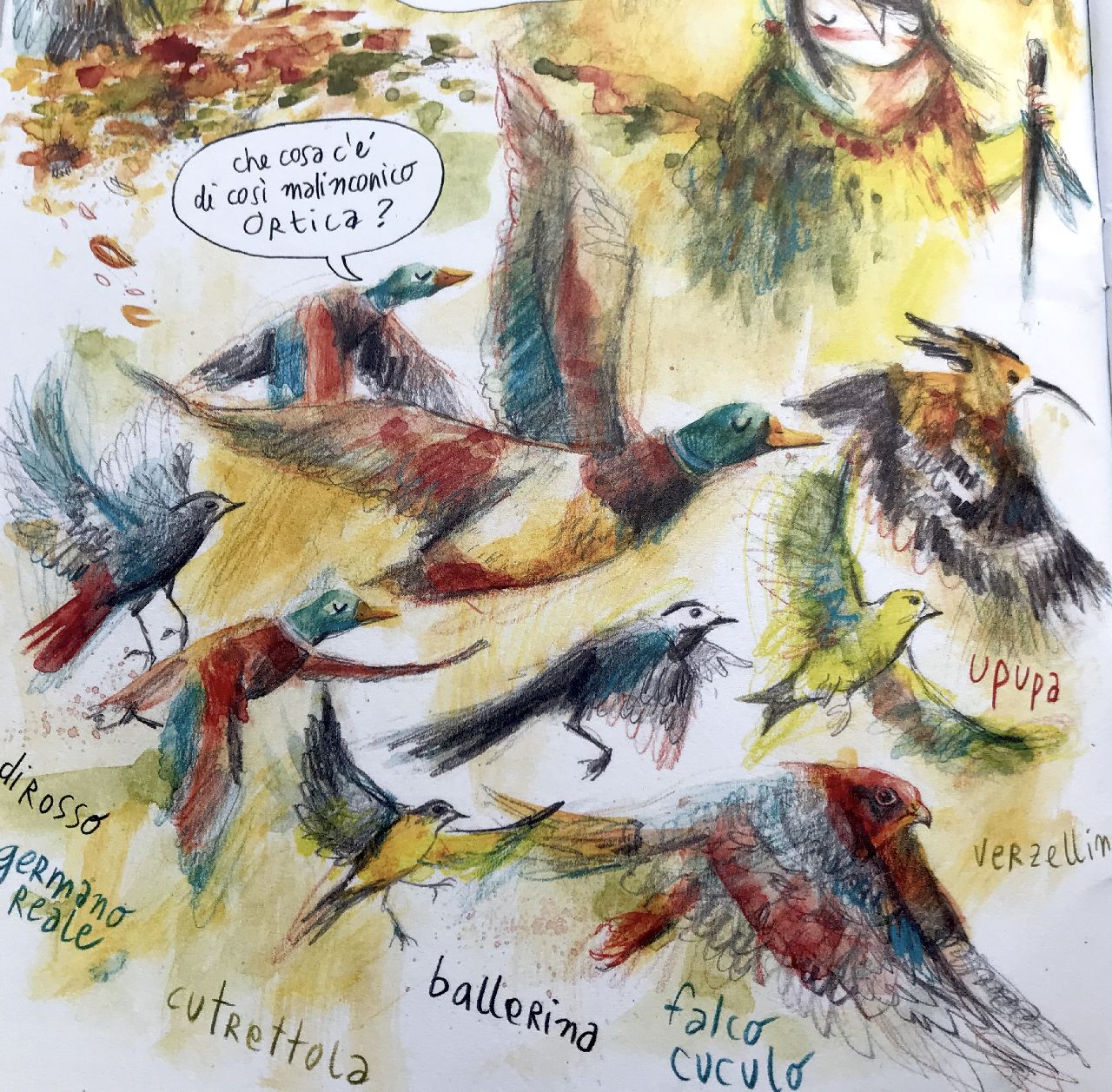 Marina Girardi, Ortica. Guida all'ascolto della natura selvatica, Topipittori