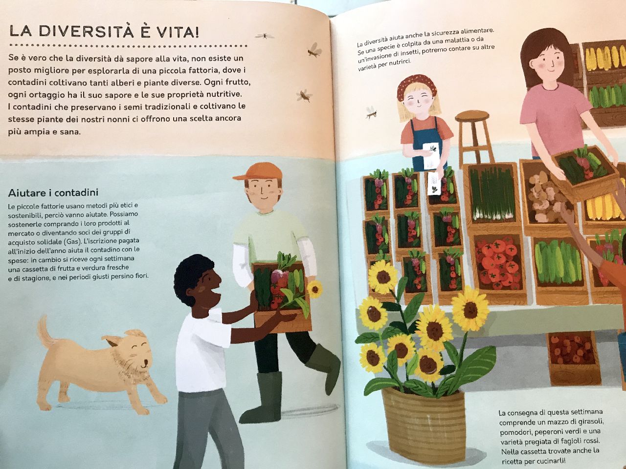 Nancy Castaldo - Ginnie Hsu, Un anno in fattoria, Slow food editore