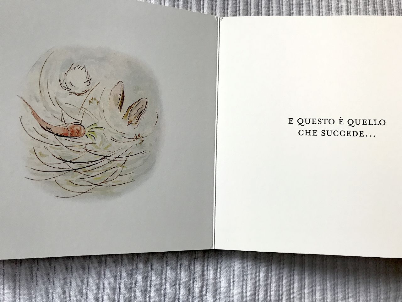 Beatrix Potter, La storia di un coniglio davvero cattivo, Pulce