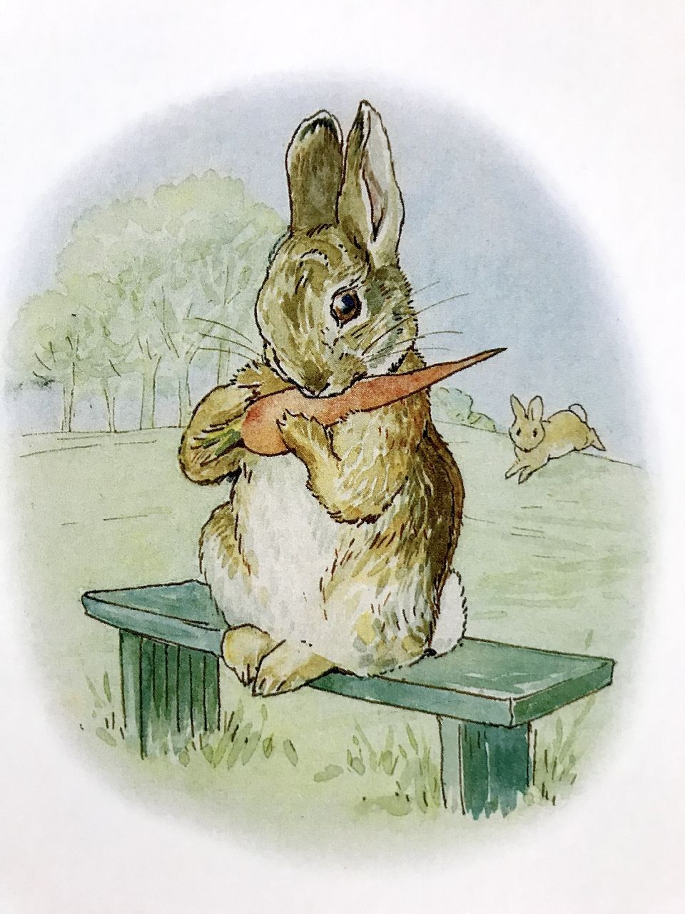 Beatrix Potter, La storia di un coniglio davvero cattivo, Pulce