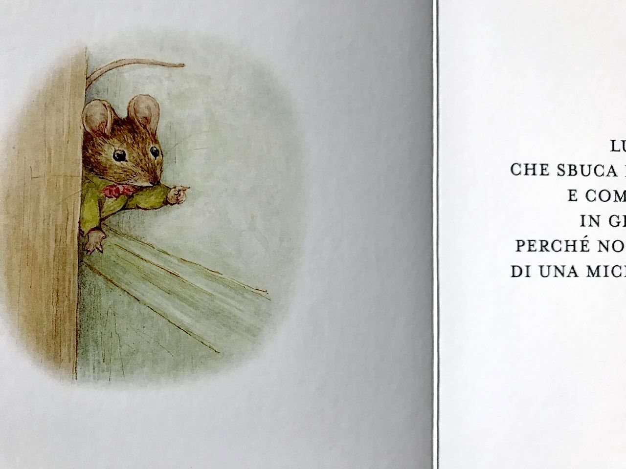 Beatrix Potter, La storia di Miss Moppet, Pulce