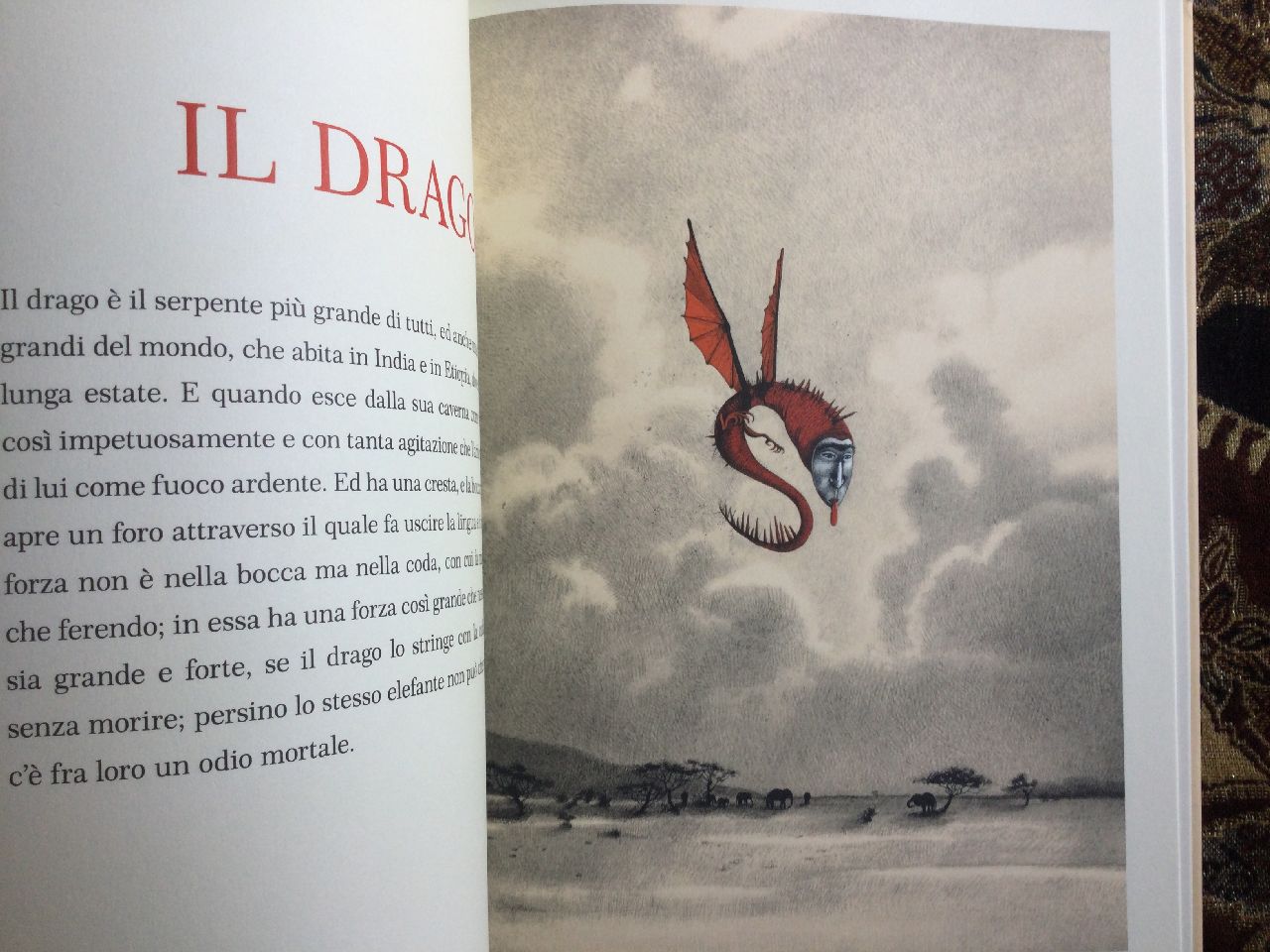 Brunetto Latini - Rébecca Dautremer, Tresor. Un bestiario medievale, Rizzoli