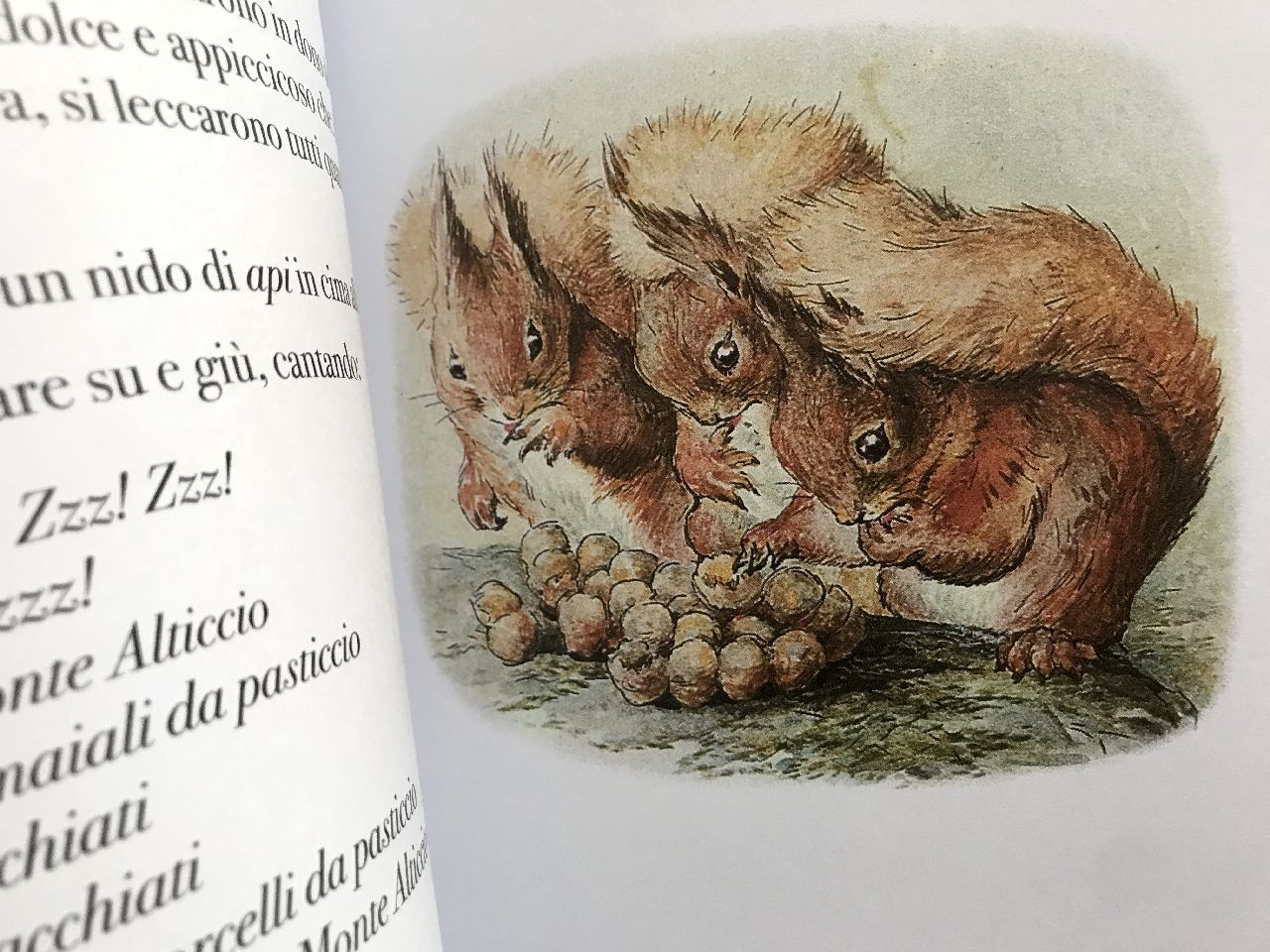 Beatrix Potter, La storia di Squirrel Nutkin, Pulce edizioni
