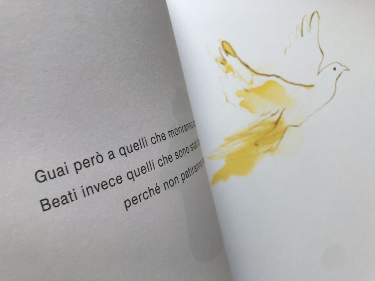 Cantico Delle Creature Laudato Si' Chiara Frugoni - Serena Viola, Laudato si’ il Cantico delle creature
