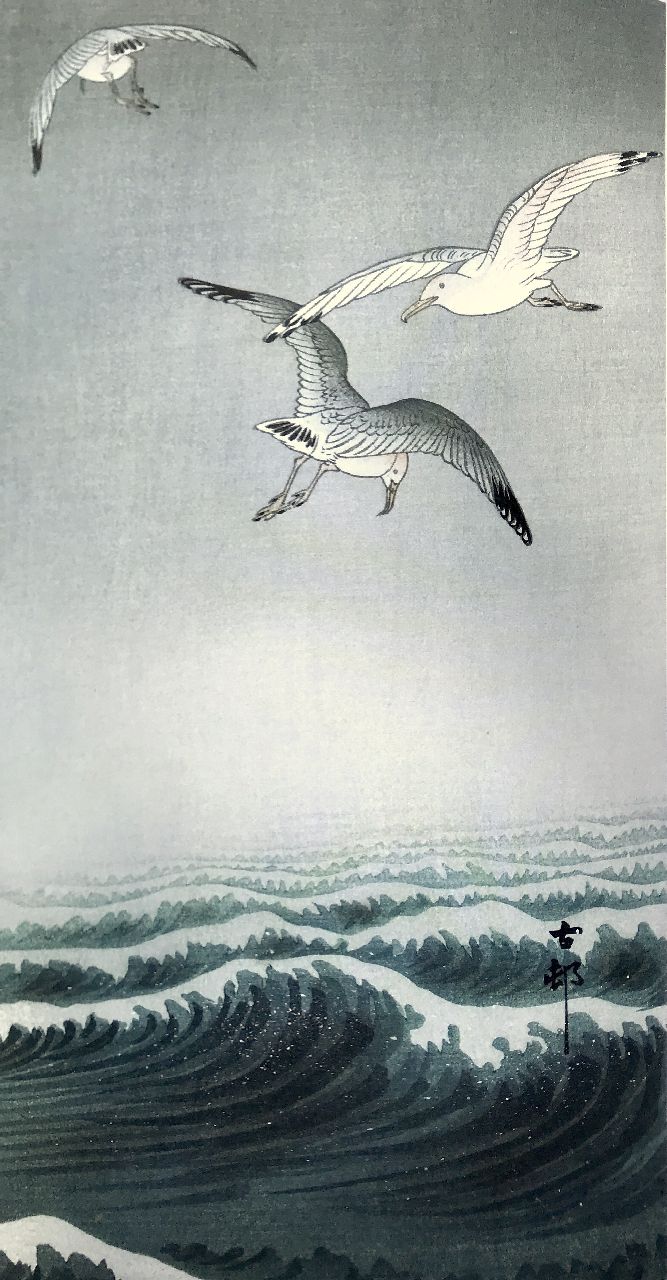 Cristina Petit - Ohara Koson, La notte in cui la luna sparì, Pulce