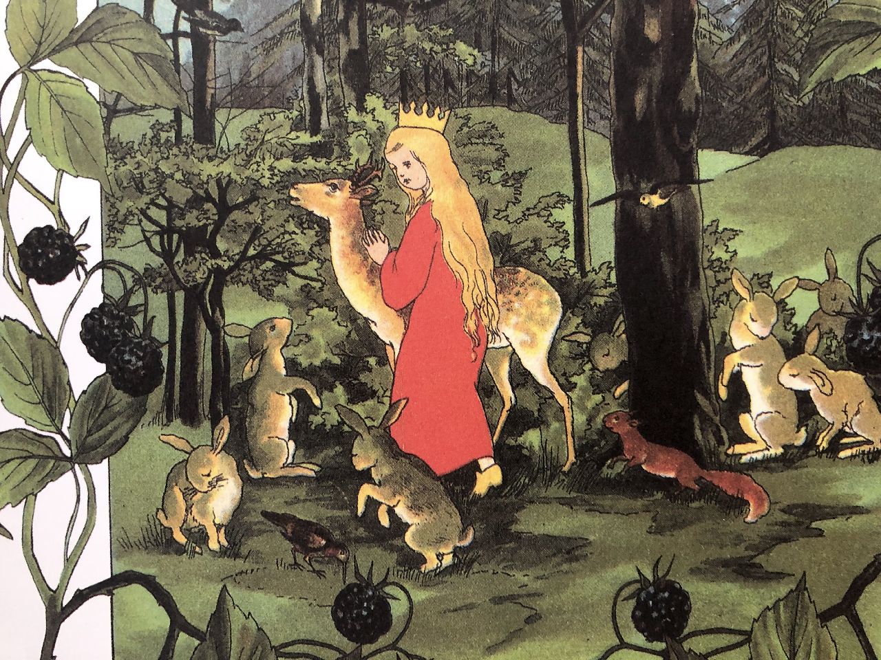 Sibylle von Olfers, La piccola storia dei bambini della foresta, Pulce