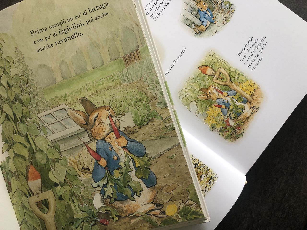 Beatrix Potter, La storia di Peter coniglio, Mondadori