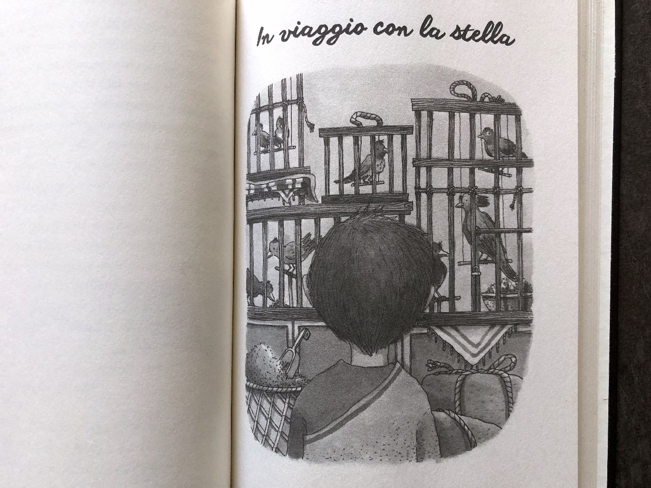 Silvia Fornasari - Letizia Iannaccone, Il re bambino, San Paolo