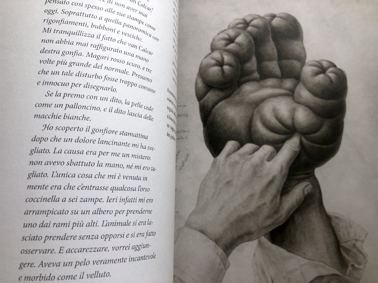 Raoul Deleo, Terra Ultima, Terredimezzo
