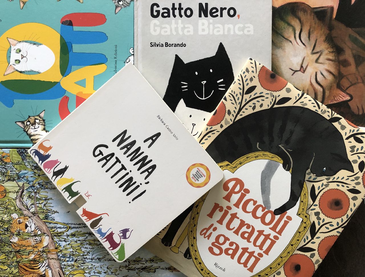 6 libri vecchi e nuovi sui gatti da scoprire - Scaffale basso