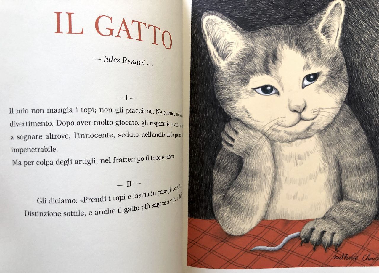 AA.VV., Piccoli ritratti di gatti, Rizzoli