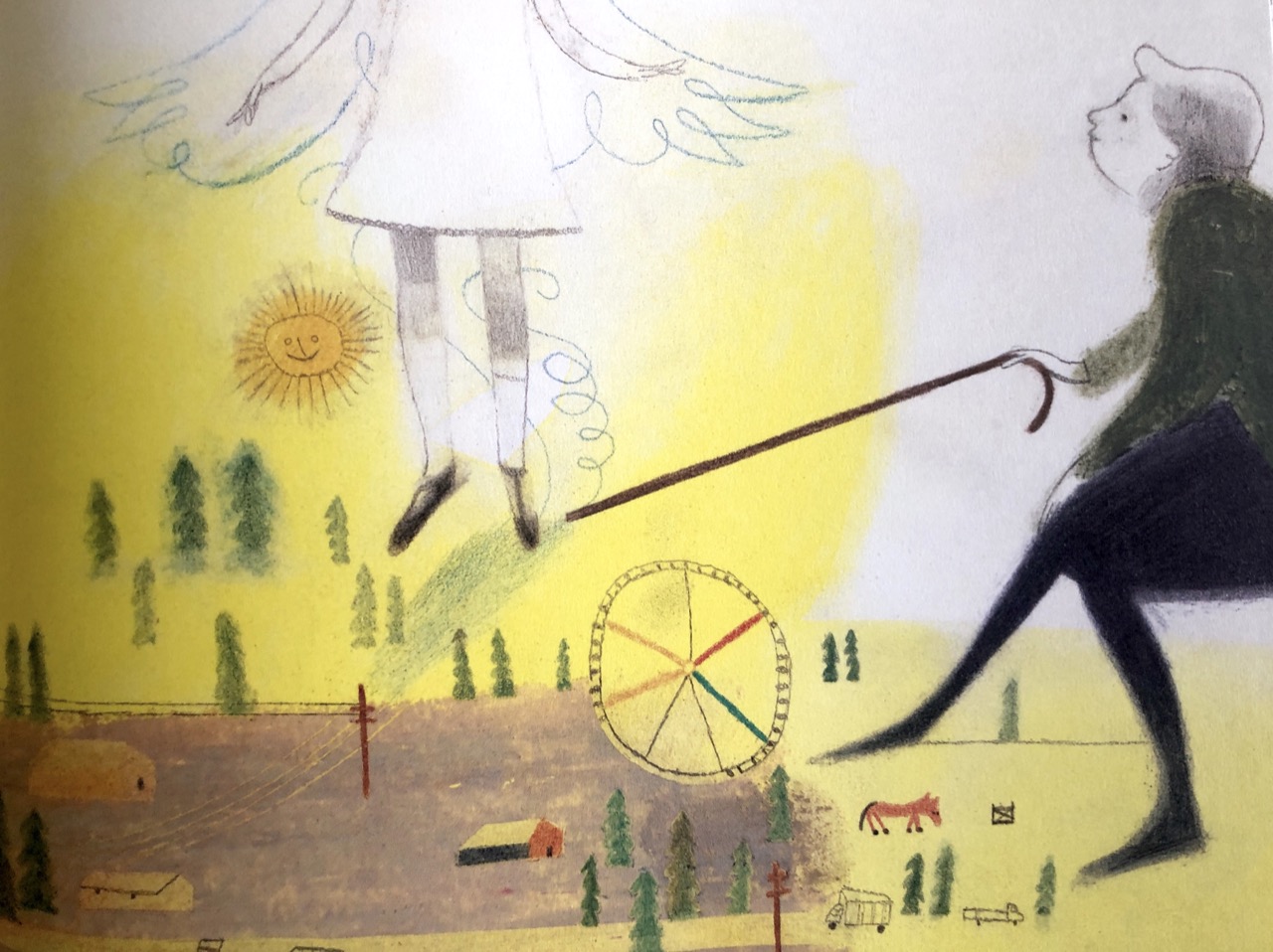 David Almond, La donna che trasformava i bambini in uccelli, Camelozampa