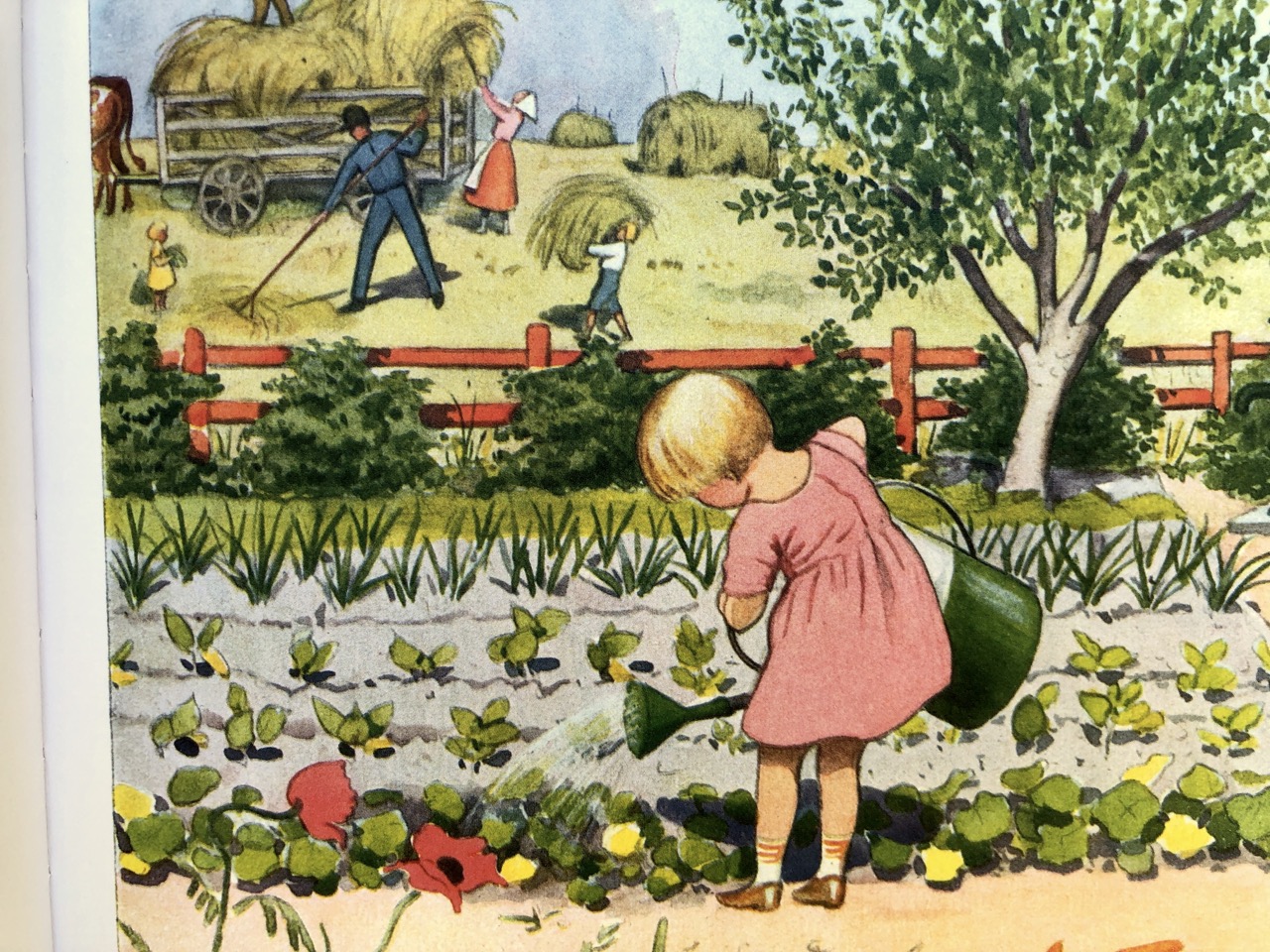 Elsa Beskow, Per tutto l’anno, Pulce