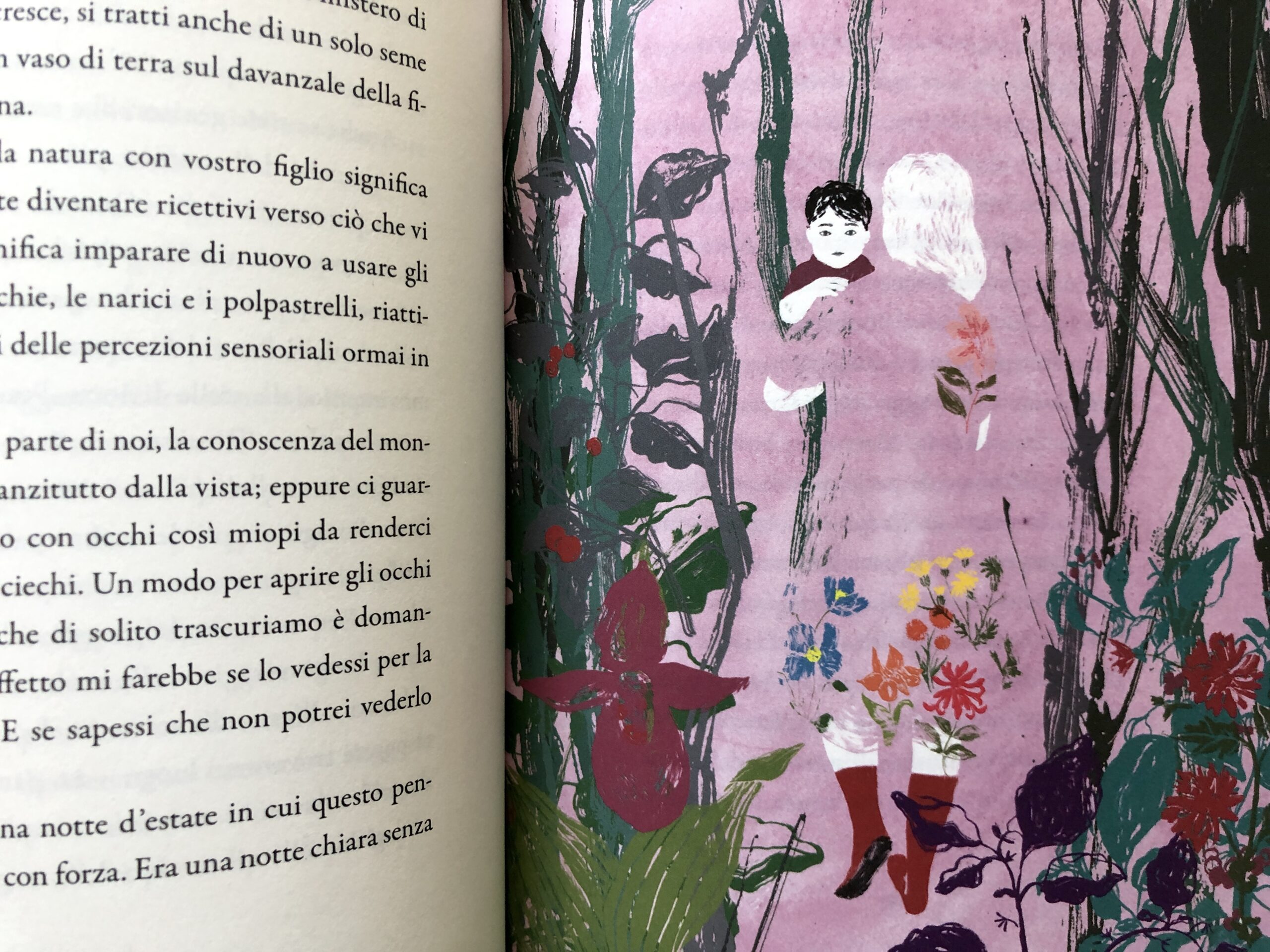 Rachel Carson - Elisa Talentino, Brevi lezioni di meraviglia, Aboca