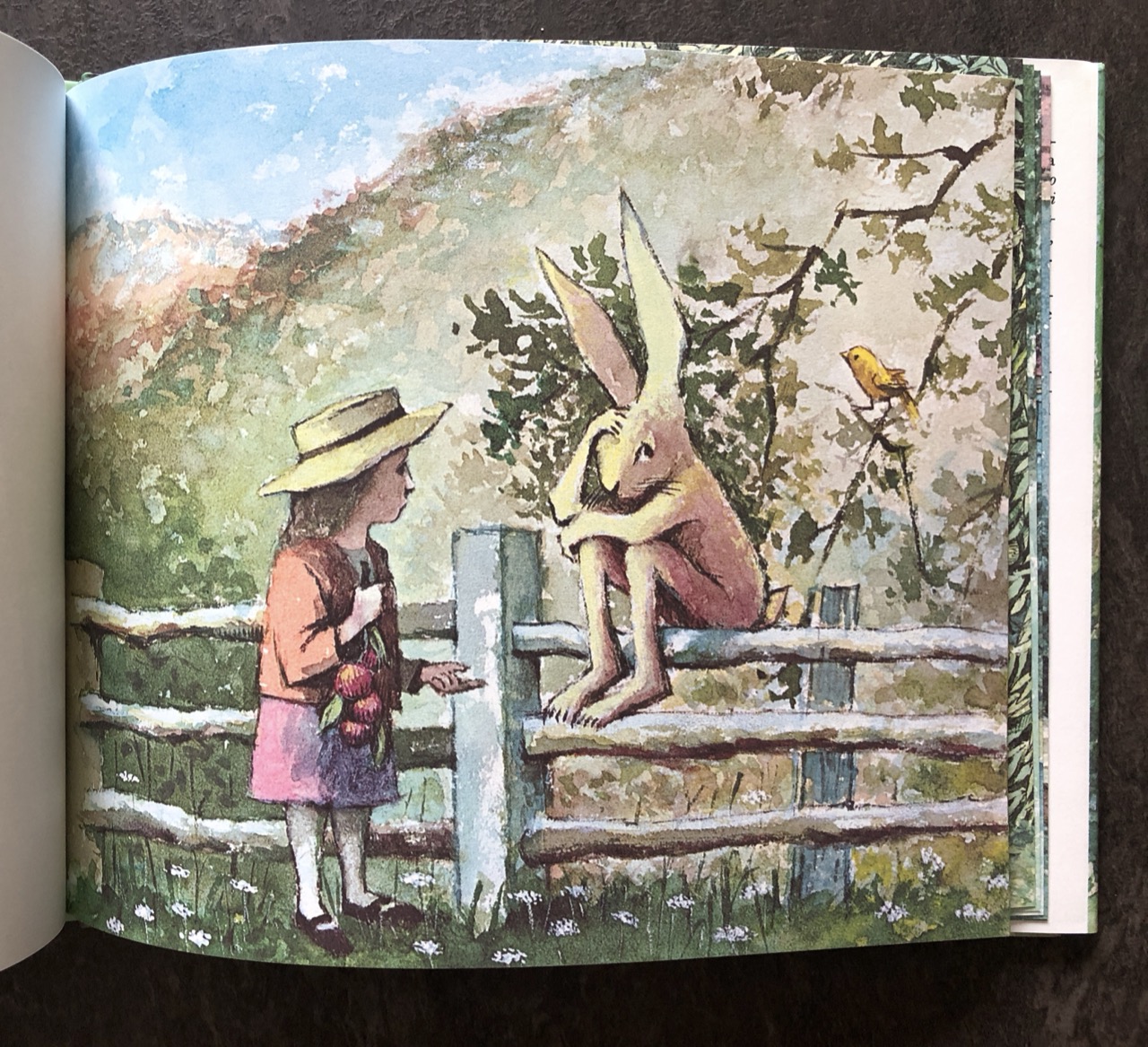 Charlotte Zolotow - Maurice Sendak, Il signor Coniglio e il regalo perfetto, Adelphi