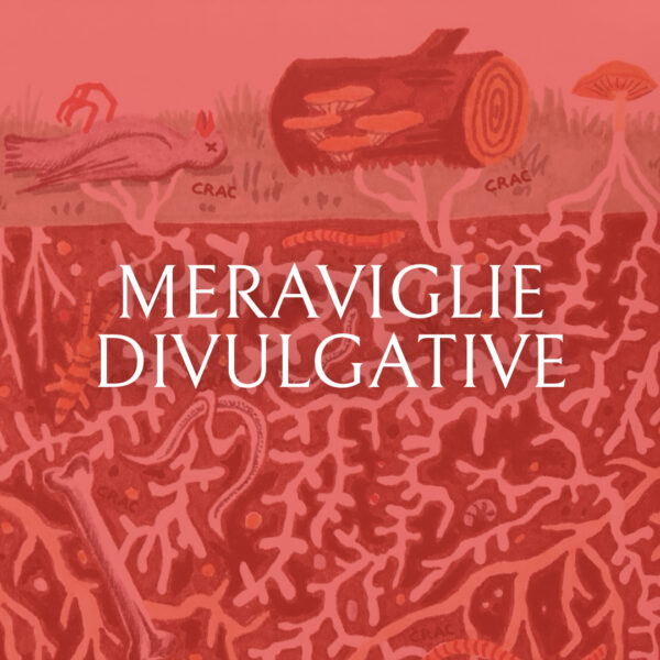 Corso letteratura divulgativa
