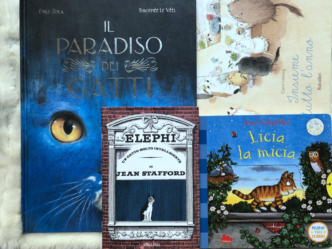 Gatti per tutte le età - Scaffale Basso